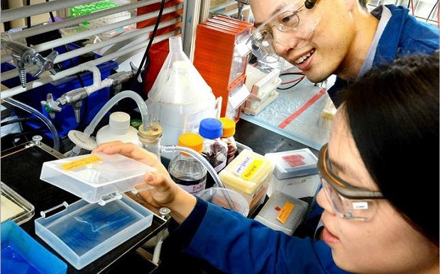 Learn How Copper Helps To Burn Fat