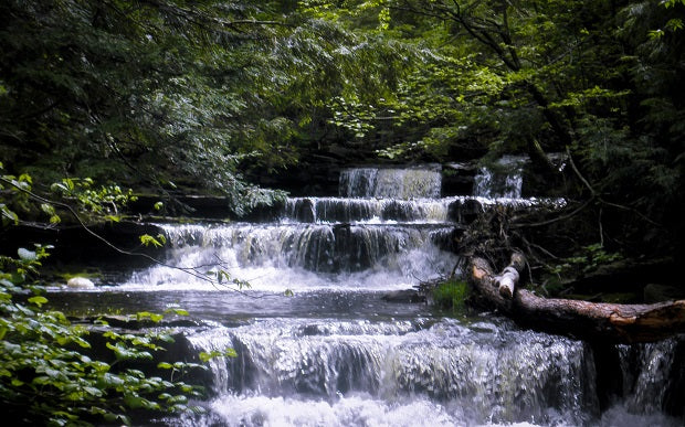 Everything You Need to Know About The Raw Water Movement