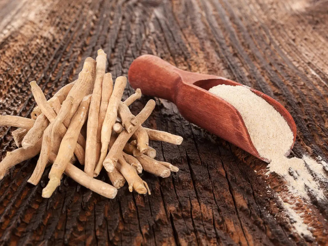 Ashwagandha: A Natural Ally for Women's Health