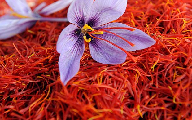 The Ayurvedic Healing Benefits of Saffron (Recipe)